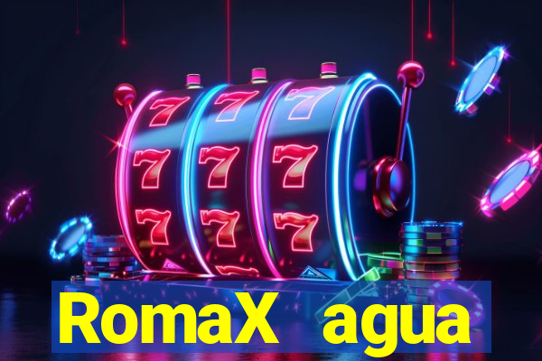 RomaX agua sanitaria fispq agua sanitaria romax